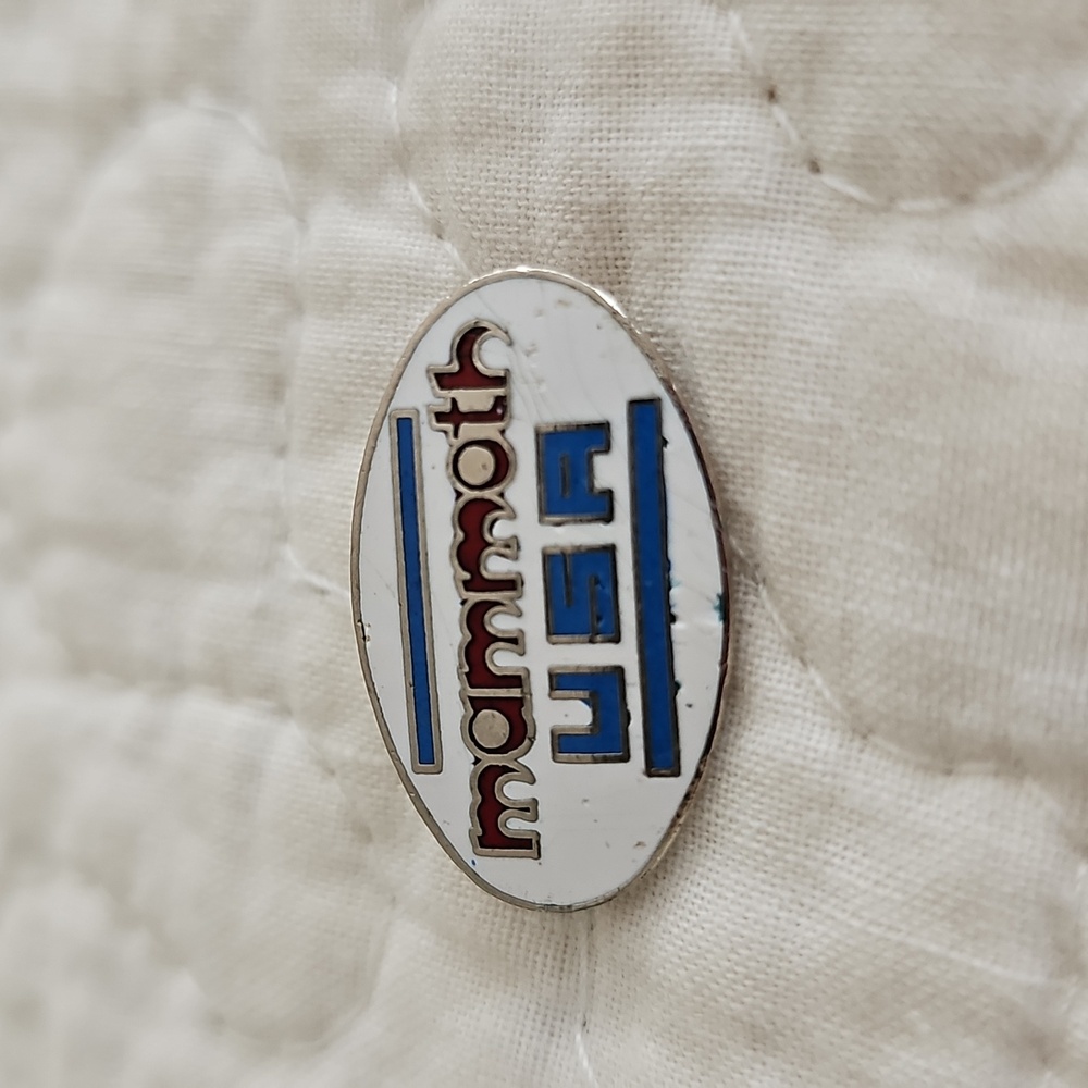Vintage USA Souvenir Ski Pins - Picture 7 of 10
